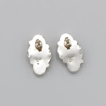 Load image into Gallery viewer, Native American Handcrafted Earrings