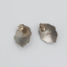 Load image into Gallery viewer, Native American Handcrafted Earrings