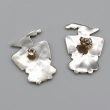 Load image into Gallery viewer, Native American Handcrafted Earrings