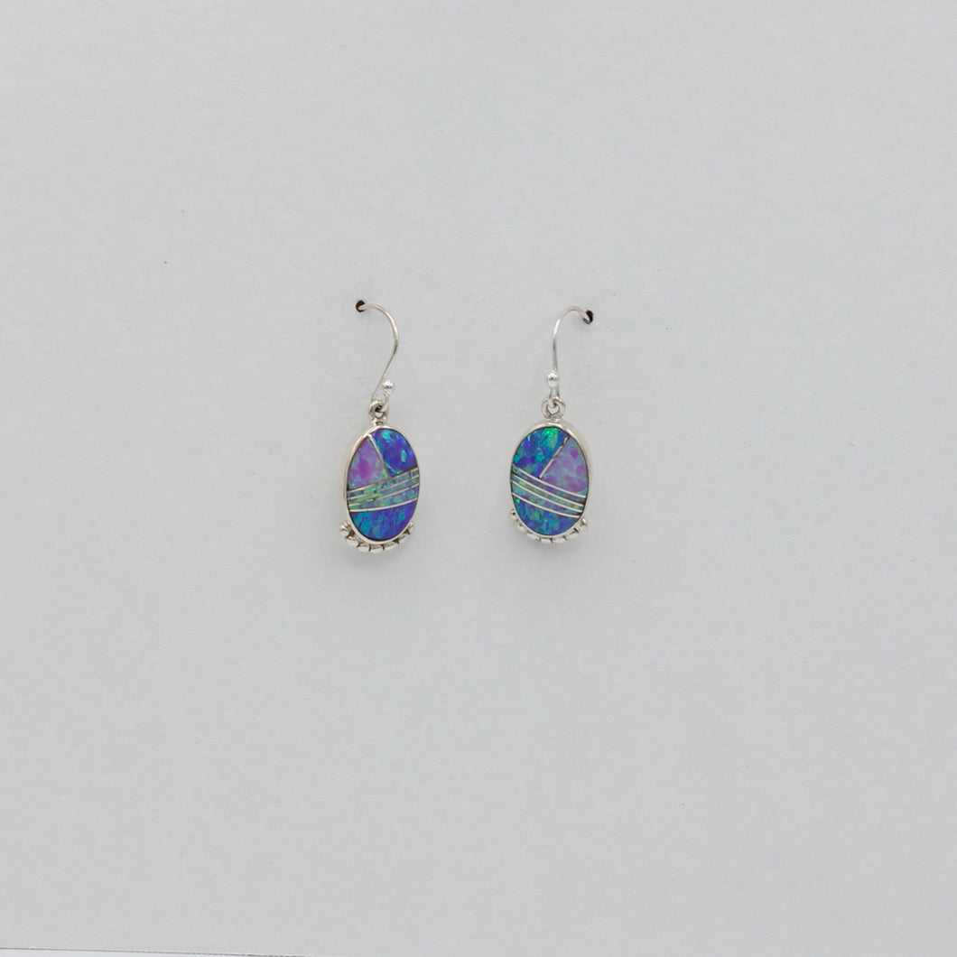Native American Handcrafted Earrings