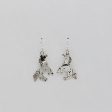 Load image into Gallery viewer, Native American Handcrafted Earrings