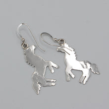 Load image into Gallery viewer, Native American Handcrafted Earrings