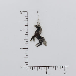 Native American Handcrafted Earrings