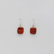 Load image into Gallery viewer, Native American Handcrafted Earrings