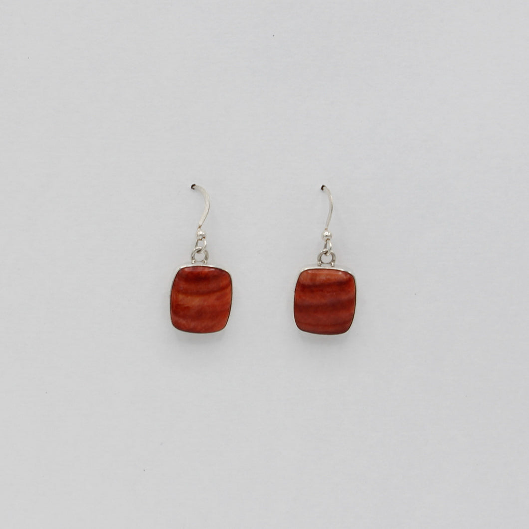 Native American Handcrafted Earrings