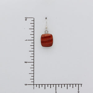 Native American Handcrafted Earrings