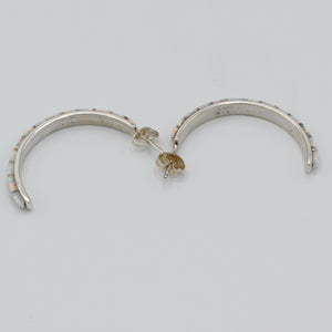 Native American Handcrafted Earrings