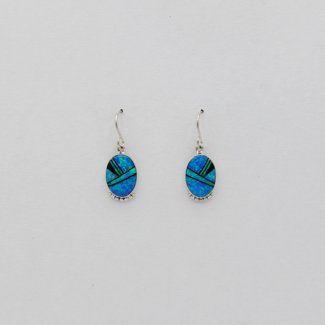 Native American Handcrafted Earrings