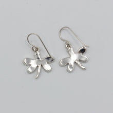 Load image into Gallery viewer, Native American Handcrafted Earrings