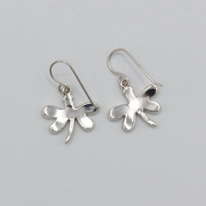 Native American Handcrafted Earrings