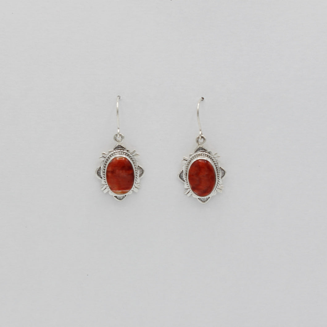 Native American Handcrafted Earrings
