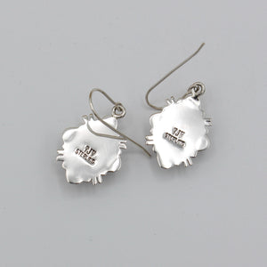 Native American Handcrafted Earrings