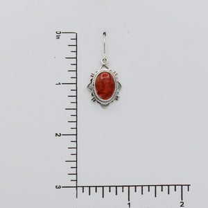 Native American Handcrafted Earrings