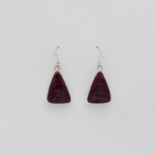 Load image into Gallery viewer, Native American Handcrafted Earrings