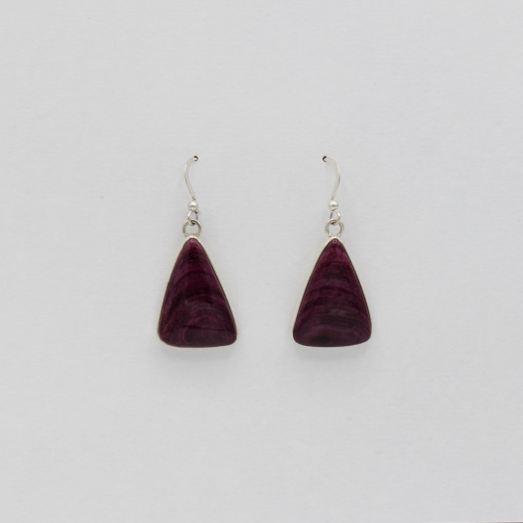 Native American Handcrafted Earrings