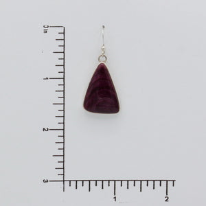 Native American Handcrafted Earrings