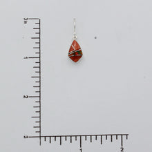 Load image into Gallery viewer, Native American Handcrafted Earrings