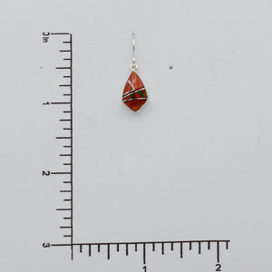 Native American Handcrafted Earrings