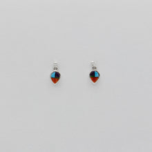 Load image into Gallery viewer, Native American Handcrafted Earrings