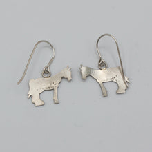 Load image into Gallery viewer, Native American Handcrafted Earrings