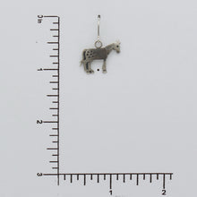 Load image into Gallery viewer, Native American Handcrafted Earrings