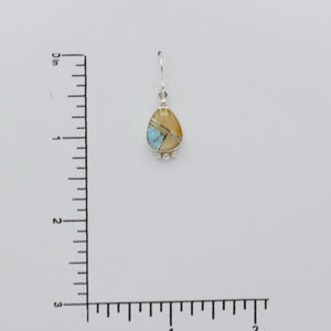 Native American Handcrafted Earrings