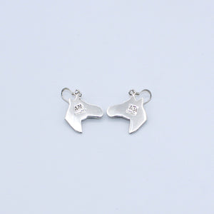 Native American Handcrafted Earrings